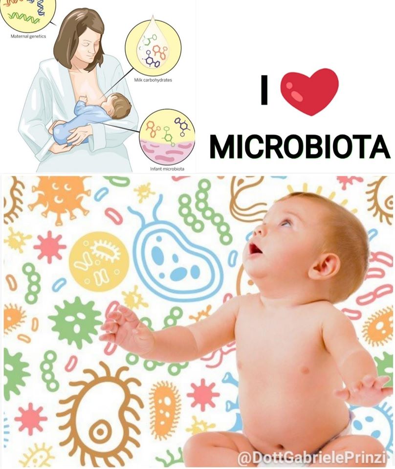 Progressi nella comprensione del microbioma neonatale